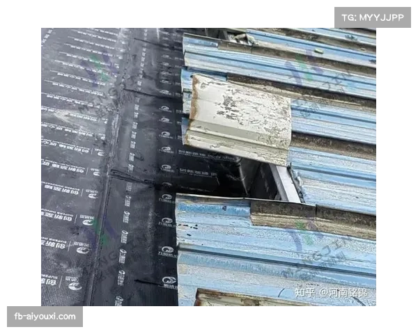 雨战进行时，诺坎普球场部分顶棚出现漏水